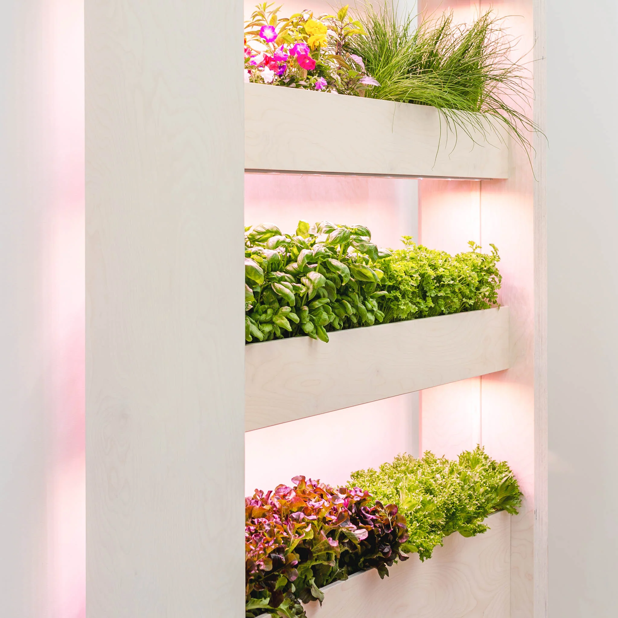 The Wall Farm Indoor Vertical Garden - Image 5